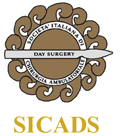 logo sicads